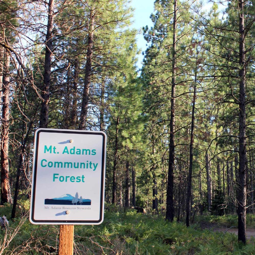 Mt-Adams-Community-Forest-Square